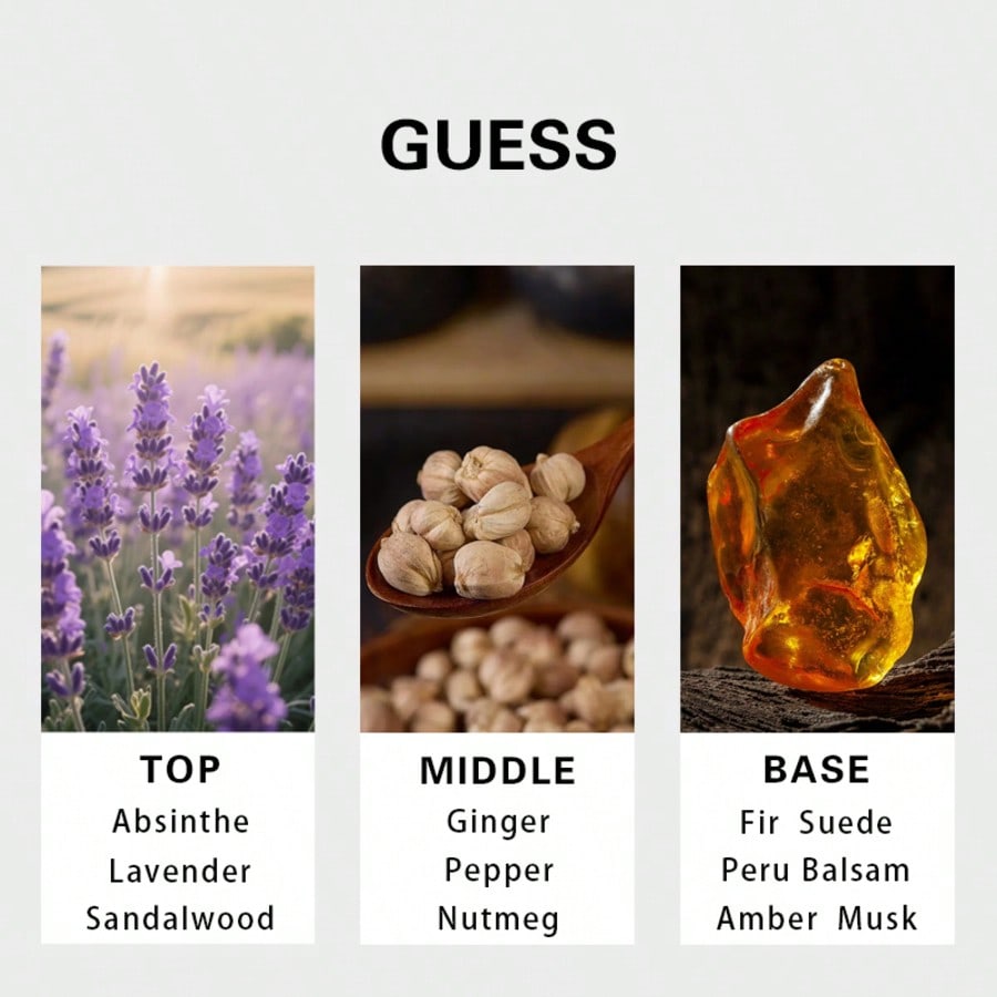 Guess Gold Men Eau De Toilette - Perfume Fragrance Notes บทวิจารณ์และราคา