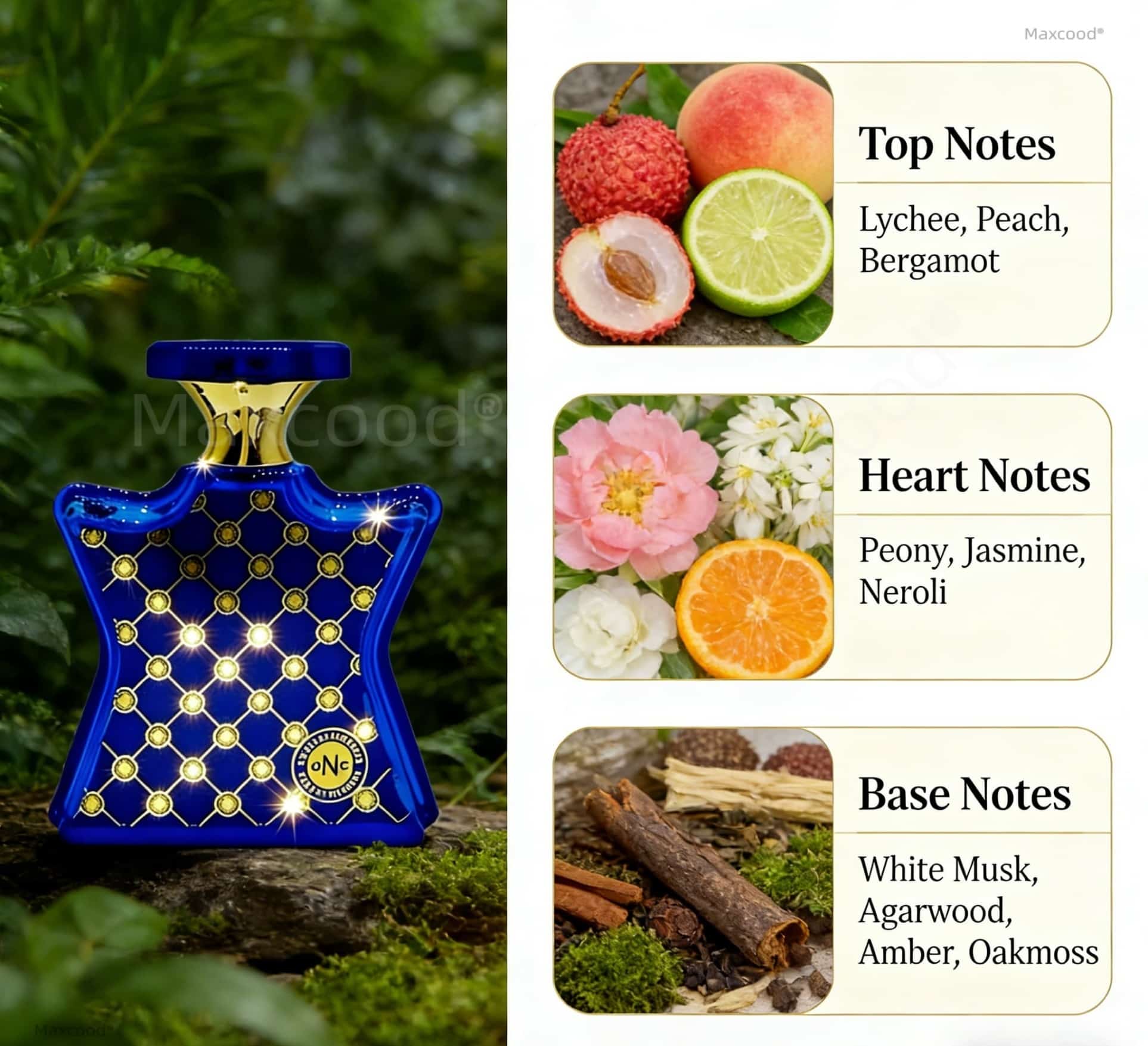 น้ำหอมกลิ่นส้มและดอกไม้ กลิ่นห - Perfume Luxury Fragrance บทวิจารณ์และราคา