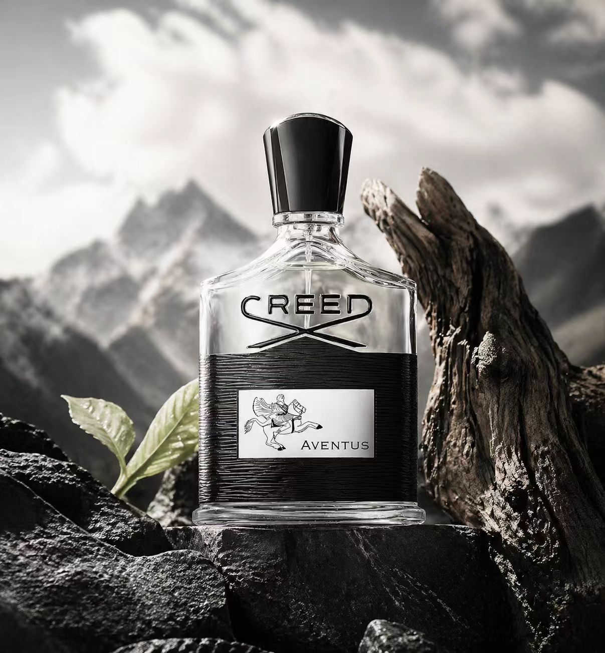 Creed Aventus: น้ำหอมสำหรับผู้ - Creed Aventus Dupe บทวิจารณ์และราคา