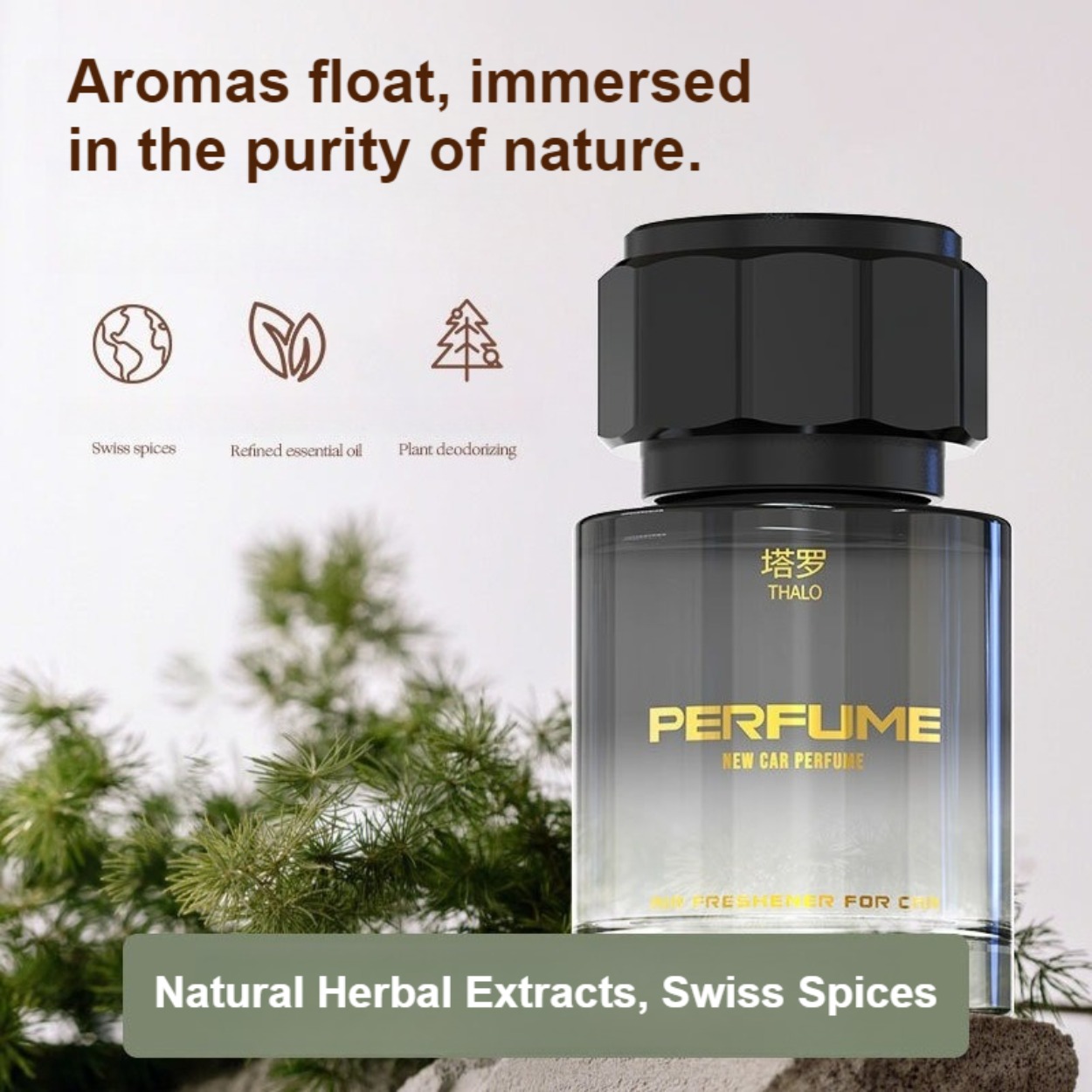 น้ำหอมผู้ชาย: กลิ่นหอมสดชื่น ต - Perfume Fragrance Lasting บทวิจารณ์และราคา